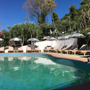 https://dias-apartments.hotelschalkidiki.net